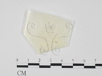 藏品()的圖片