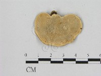 藏品(相鄰小孔菌)的圖片