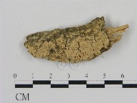藏品()的圖片