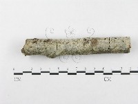 藏品()的圖片