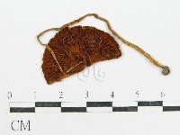 藏品()的圖片