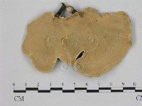 藏品(相鄰小孔菌)的圖片