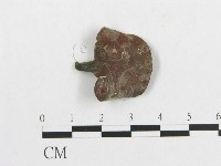 藏品(多孔菌屬)的圖片