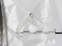 藏品()的圖片