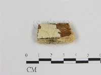 藏品()的圖片