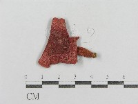 藏品(紅菇屬)的圖片