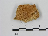 藏品()的圖片