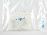 藏品(鬼傘屬)的圖片