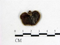 藏品(毛木耳)的圖片