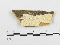 藏品()的圖片