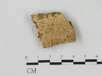 藏品()的圖片