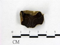 藏品(毛木耳)的圖片