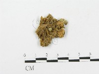 藏品()的圖片