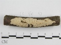 藏品()的圖片