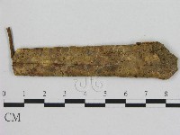 藏品(小皮傘屬)的圖片