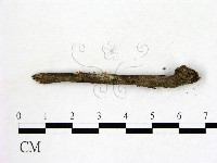 藏品()的圖片