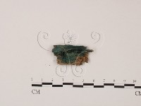 藏品()的圖片