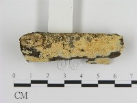 藏品(絲齒菌屬)的圖片