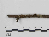 藏品(小皮傘屬)的圖片