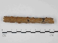 藏品(韌革菌屬)的圖片