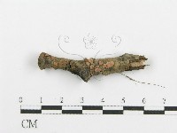 藏品()的圖片
