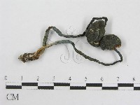 藏品(粉褶菌屬)的圖片