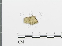 藏品()的圖片