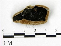 藏品(毛木耳)的圖片