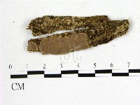 藏品()的圖片