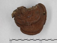 藏品(靈芝屬)的圖片