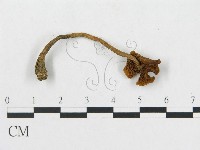 藏品()的圖片
