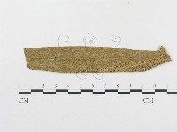 藏品()的圖片