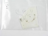 藏品()的圖片