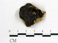 藏品(毛木耳)的圖片