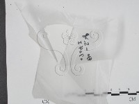 藏品()的圖片
