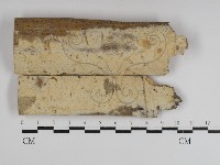 藏品()的圖片