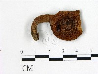 藏品(乳菇屬)的圖片