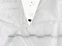 藏品()的圖片