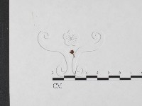 藏品(發光小菇)的圖片