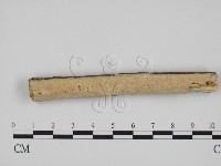 藏品()的圖片