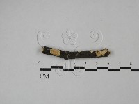 藏品()的圖片