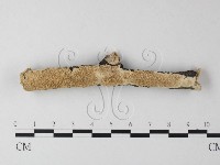 藏品(耙菌屬)的圖片