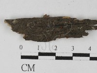 藏品(花耳屬)的圖片