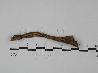 藏品()的圖片