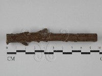 藏品(刺革菌屬)的圖片