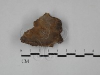 藏品()的圖片