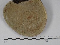 藏品(靈芝屬)的圖片