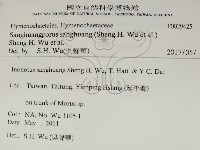 藏品(桑黃)的圖片