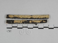 藏品(叉絲革菌屬)的圖片