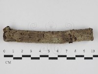 藏品(絲皮菌屬)的圖片